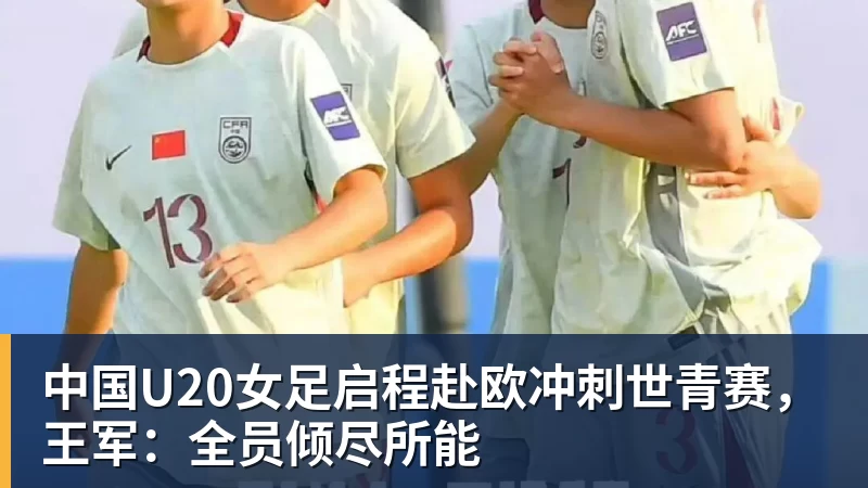 前国脚力挺C罗:热苏斯太不专业是矛盾源泉 梅西遇到这事也会发飙 - 米兰体育 - 米兰milan(中国)